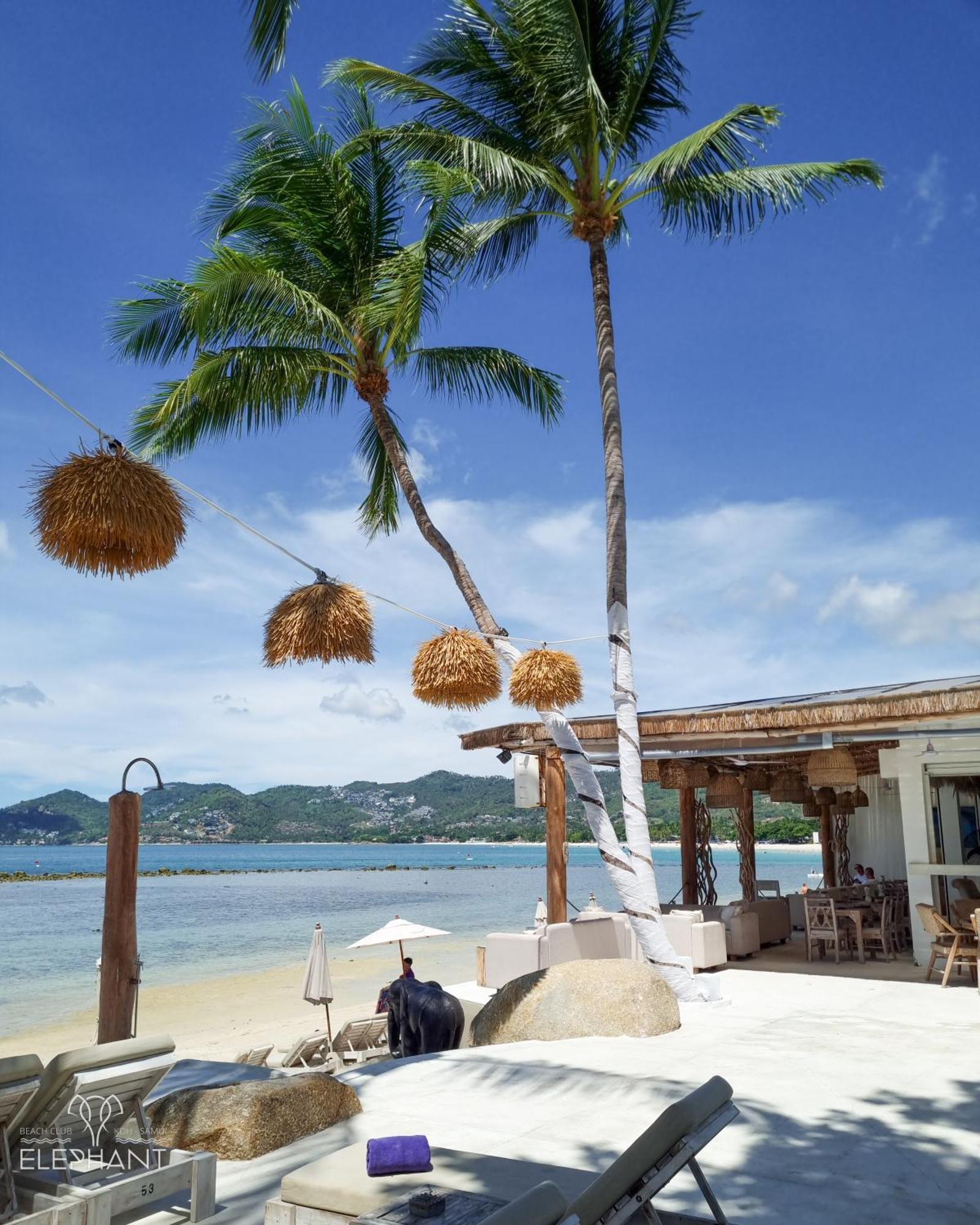 Elephant Beach Club & Resort Samui Plage de Chaweng Extérieur photo