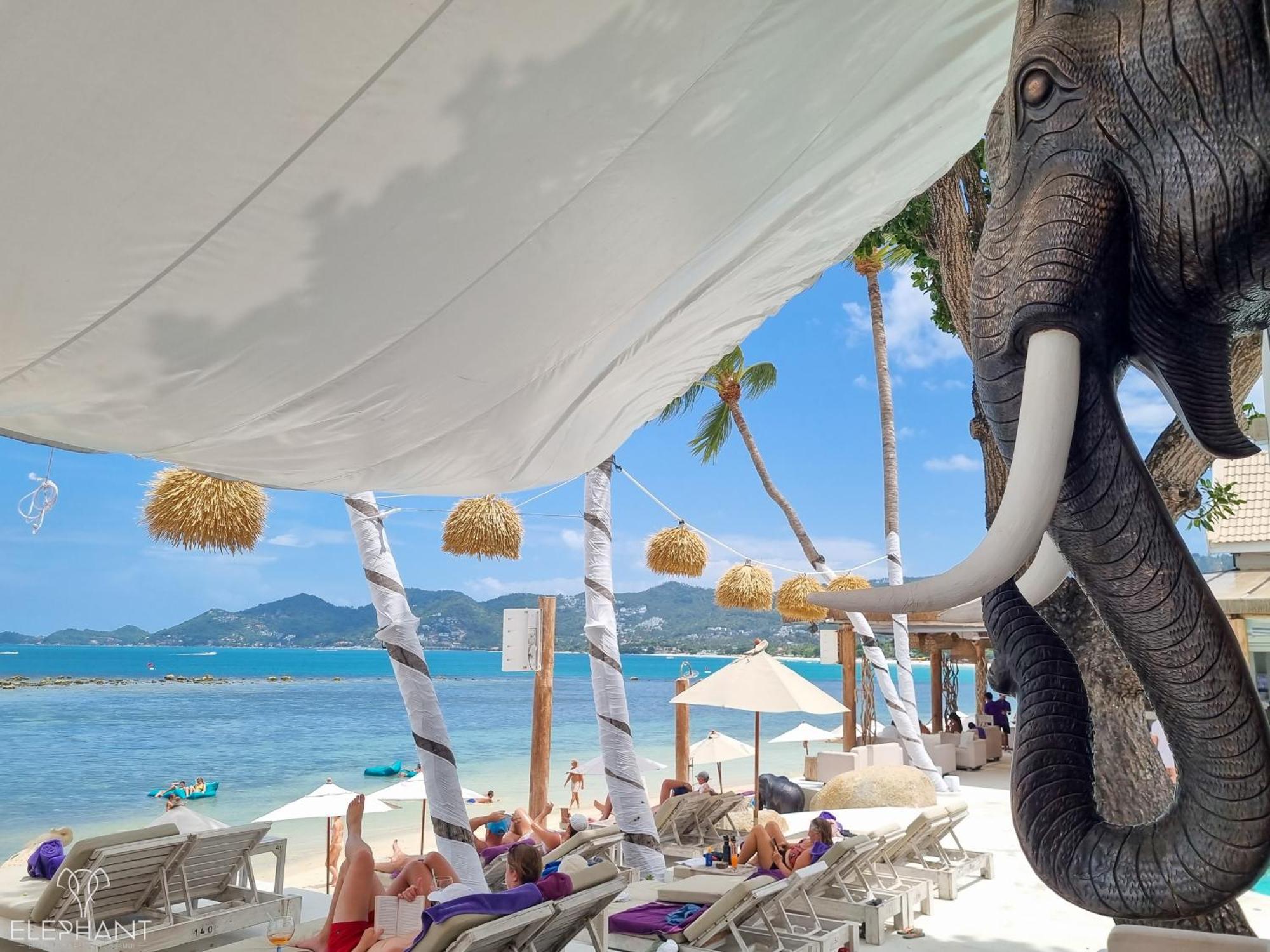 Elephant Beach Club & Resort Samui Plage de Chaweng Extérieur photo